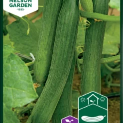 Gurke Louisa F1 | Gurkensamen Von Nelson Garden