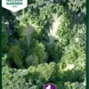 Grünkohl Emerald Ice | Grünkohlsamen Von Nelson Garden