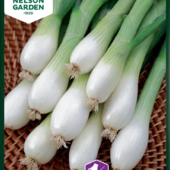 Frühlingszwiebel White Lisbon | Zwiebelsamen Von Nelson Garden