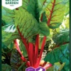 Mangold Rhubarb Chard | Mangoldsamen Von Nelson Garden