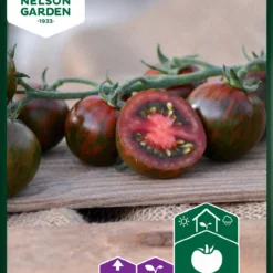 Kirschtomate Tiger F1 | Kirschtomatensamen Von Nelson Garden