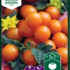 Kirschtomate Sungold F1 | Kirschtomatensamen Von Nelson Garden
