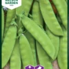 Zuckererbsen Oregon Sugar Pod | Zuckererbsensamen Von Nelson Garden