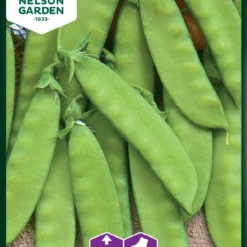 Zuckererbsen Oregon Sugar Pod | Zuckererbsensamen Von Nelson Garden