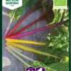 Mangold Fireworks | Mangoldsamen Von Nelson Garden