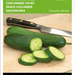 Gurken Snack Kaikura F1 | Gurkensamen Von Buzzy Seeds -Angebote Pflanzen Glanz Store 552545 Gurken Snack Kaikura F1 2187 by 0