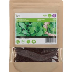 Mai Rübstiel - Stielmus (50 G) | Kohlsamen Von Buzzy Seeds