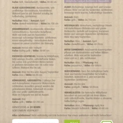 Stauden Bienenweide | BIO Bienenwiese Von Biobalu 11 Stauden Bienenweide | BIO Bienenwiese Von Biobalu -Angebote Pflanzen Glanz Store 554548 BIO Stauden Bienenweide BB1023 1