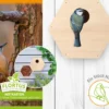 Nistkasten | Vogelhäuser Von FLORTUS