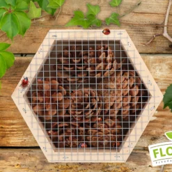 Insektenhäuschen Marienkäfer | Insektenhotels Von FLORTUS