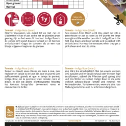 Tomate Pomodori Indigo Rose | Fleischtomatensamen Von Buzzy Seeds