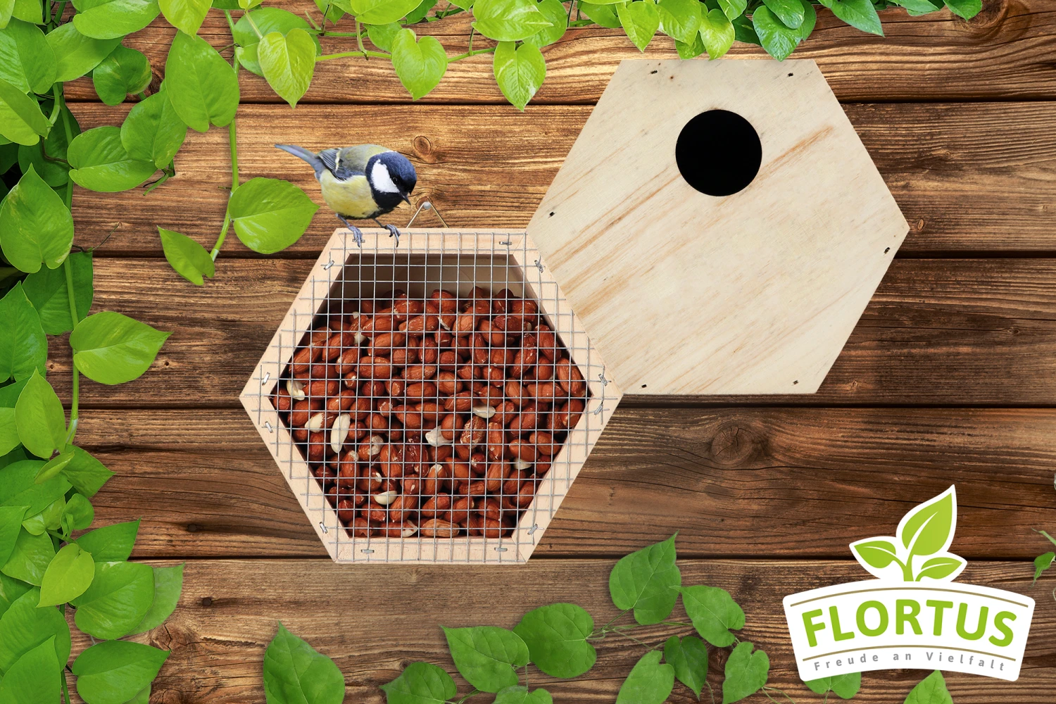 Vogelfutterhaus Und Nistkasten Set | Vogelzubehör & Vogelbedarf Von FLORTUS 5 Vogelfutterhaus Und Nistkasten Set | Vogelzubehör & Vogelbedarf Von FLORTUS – Bild 5