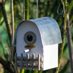 Nistkasten Rundhaus Elfenbein | Vogelhäuser Von Dobar -Angebote Pflanzen Glanz Store 555829 Nistkasten Rundhaus Elfenbein 22313FSCe dr 3