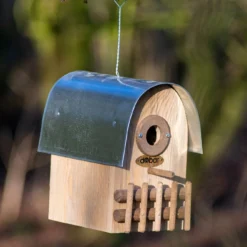 Nistkasten Rundhaus Bernstein | Vogelhäuser Von Dobar -Angebote Pflanzen Glanz Store 555831 Nistkasten Rundhaus Bernstein 22513FSCe dr 3