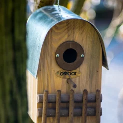 Nistkasten Rundhaus Bernstein | Vogelhäuser Von Dobar -Angebote Pflanzen Glanz Store 555831 Nistkasten Rundhaus Bernstein 22513FSCe dr 5