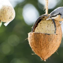 Futterglocke Erdnuss &amp; Protein | Vogelfutter Von Dobar -Angebote Pflanzen Glanz Store 555837 Futterglocke Erdnuss und Protein 24100e dr 5