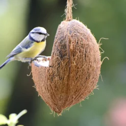 Futterglocke Erdnuss &amp; Protein | Vogelfutter Von Dobar -Angebote Pflanzen Glanz Store 555837 Futterglocke Erdnuss und Protein 24100e dr 6