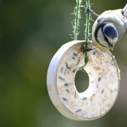 Futterglocke Erdnuss &amp; Protein | Vogelfutter Von Dobar -Angebote Pflanzen Glanz Store 555837 Futterglocke Erdnuss und Protein 24100e dr 7