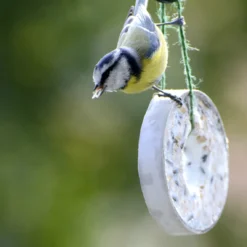 Futterglocke Erdnuss &amp; Protein | Vogelfutter Von Dobar -Angebote Pflanzen Glanz Store 555837 Futterglocke Erdnuss und Protein 24100e dr 8