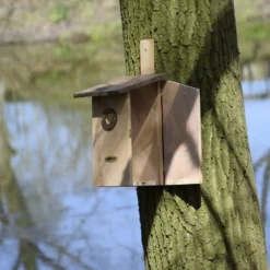 Beobachtungs Nistkasten Einblick | Vogelhäuser Von Dobar 5 Beobachtungs Nistkasten Einblick | Vogelhäuser Von Dobar -Angebote Pflanzen Glanz Store 555838 Beobachtungs Nistkasten Einblick 22415e dr 1