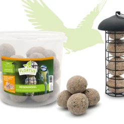 Meisenknödel Im Eimer Mit Futterspender (30 Stück) | Meisenknödel Von FLORTUS -Angebote Pflanzen Glanz Store 556010 Meisenknoedel im Eimer mit Futterspender 30 Stueck 2000 0874 2