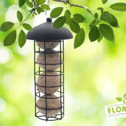 Meisenknödel Im Eimer Mit Futterspender (30 Stück) | Meisenknödel Von FLORTUS -Angebote Pflanzen Glanz Store 556010 Meisenknoedel im Eimer mit Futterspender 30 Stueck 2000 0874 4 1