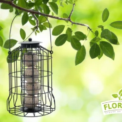 Futterspender Mit Meisenknödel (4 Stück) | Meisenknödel Von FLORTUS 8 Futterspender Mit Meisenknödel (4 Stück) | Meisenknödel Von FLORTUS -Angebote Pflanzen Glanz Store 556011 Futterspender mit Meisenknoedel 4 Stueck 2000 0875 4 1