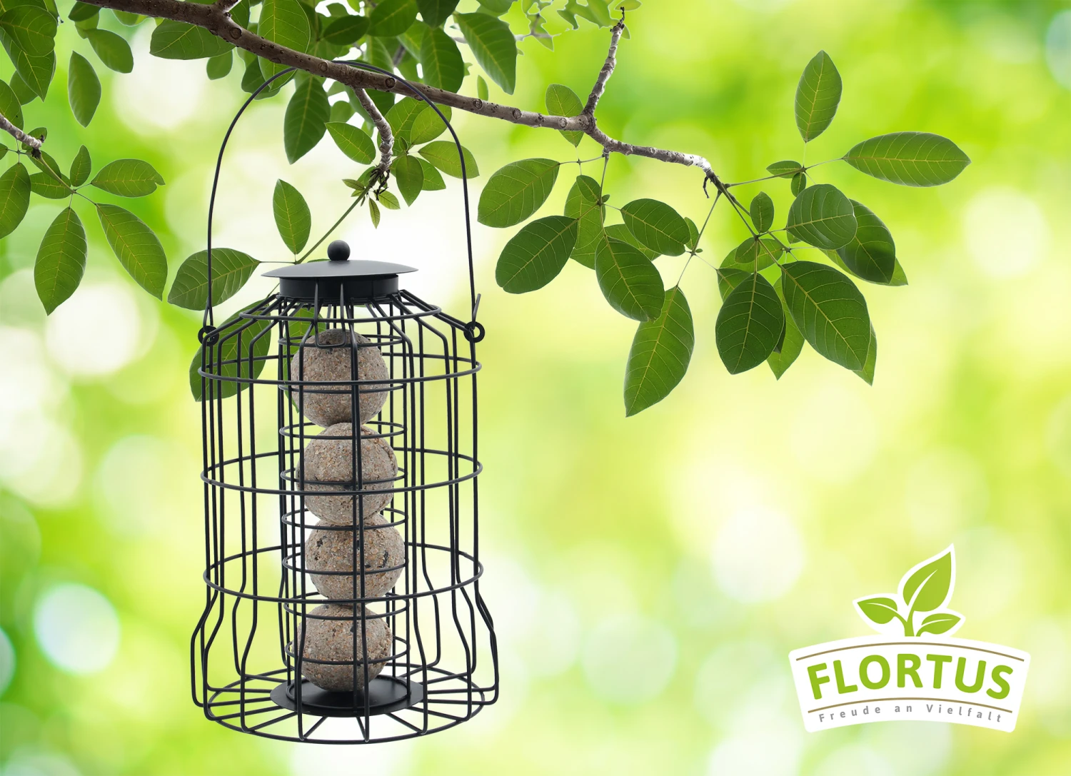 Futterspender Mit Meisenknödel (4 Stück) | Meisenknödel Von FLORTUS 4 Futterspender Mit Meisenknödel (4 Stück) | Meisenknödel Von FLORTUS – Bild 4