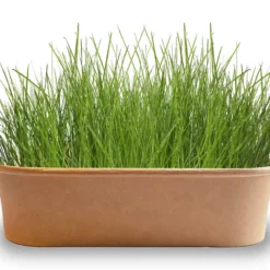 Pet-Buffet Zimmervögel Avis (3 Tütchen) | Vogelzubehör & Vogelbedarf Von Baza