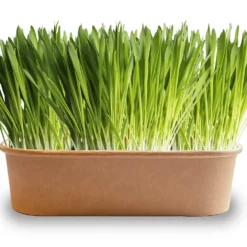 Pet-Buffet Kaninchen Gourmet (3 Tütchen) | Kaninchen Von Baza 9 Pet-Buffet Kaninchen Gourmet (3 Tütchen) | Kaninchen Von Baza -Angebote Pflanzen Glanz Store 556717 Pet Buffet Kaninchen gourmet 3 Tuetchen 18050540 bz 1