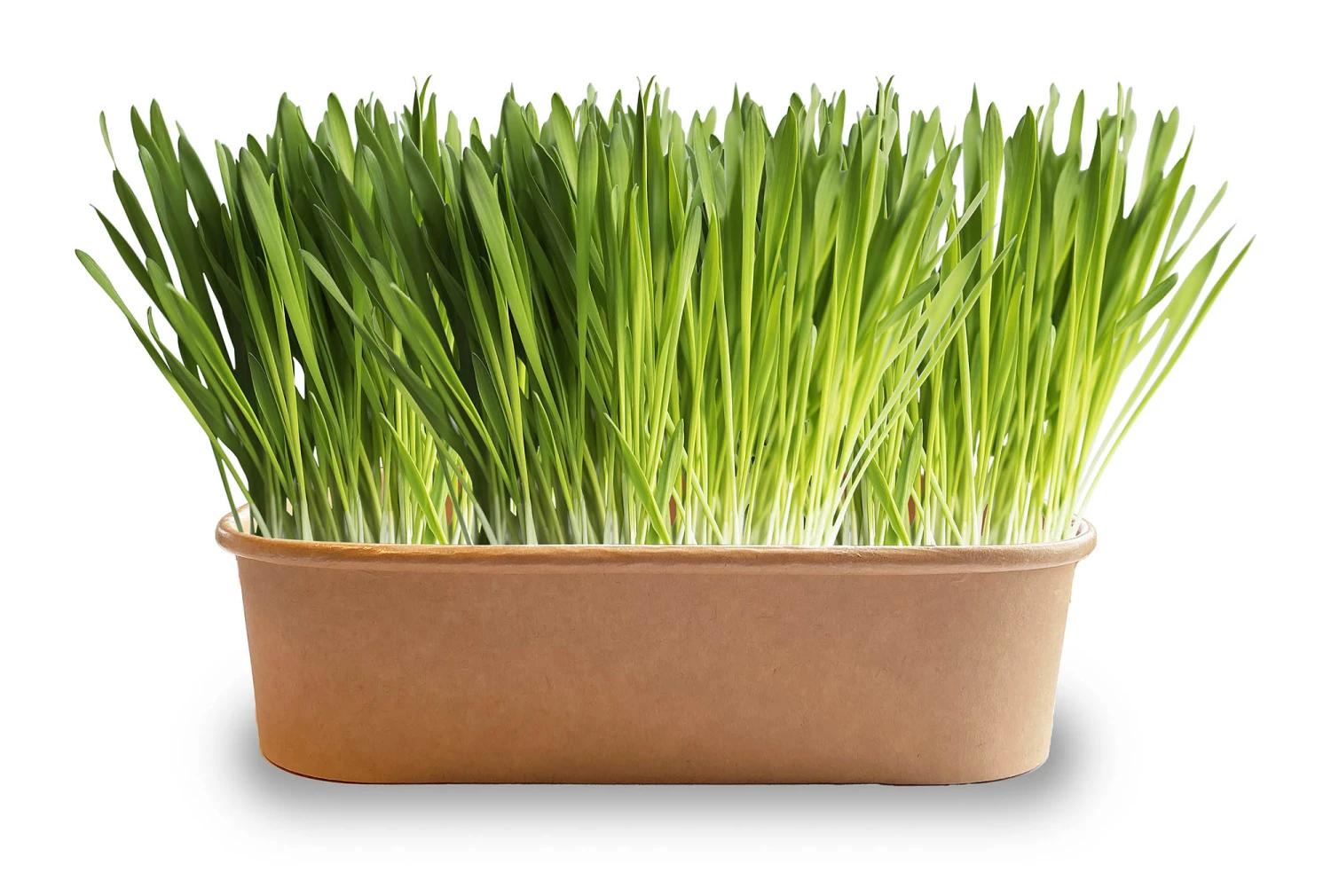 Pet-Buffet Kaninchen Gourmet (3 Tütchen) | Kaninchen Von Baza 5 Pet-Buffet Kaninchen Gourmet (3 Tütchen) | Kaninchen Von Baza – Bild 5