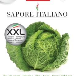 Wirsing Piacentino | Wirsingsamen Von BLUMEN Group