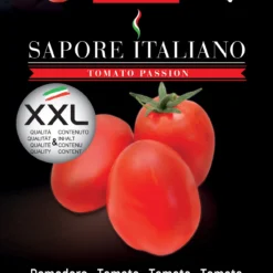 Tomate Sapore Italiano Diabolik F1 | Tomatensamen Von BLUMEN Group