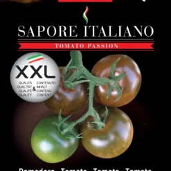 Tomate Sapore Italiano Nerondo F1 | Tomatensamen Von BLUMEN Group