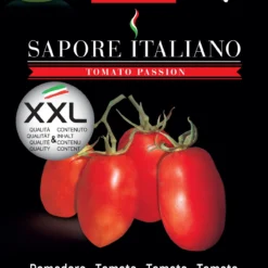 Tomate Sapore Italiano Astro F1 | Tomatensamen Von BLUMEN Group