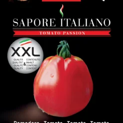 Tomate Sapore Italiano Battito F1 | Tomatensamen Von BLUMEN Group