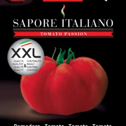 Tomate Sapore Italiano Corrida F1 | Tomatensamen Von BLUMEN Group