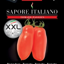 Tomate Sapore Italiano Grinta F1 | Tomatensamen Von BLUMEN Group