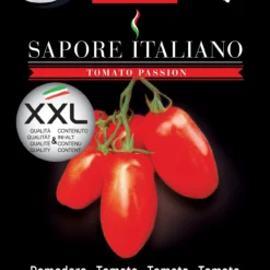 Tomate Sapore Italiano Ribelle F1 | Tomatensamen Von BLUMEN Group