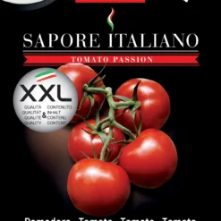 Tomate Sapore Italiano Rossini F1 | Tomatensamen Von BLUMEN Group