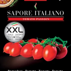 Tomate Sapore Italiano Folletto F1 | Tomatensamen Von BLUMEN Group