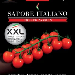 Tomate Sapore Italiano Scintilla F1 | Tomatensamen Von BLUMEN Group