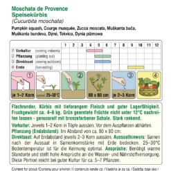 Kürbis Moschata De Provence | BIO Muskatkürbissamen Von Austrosaat