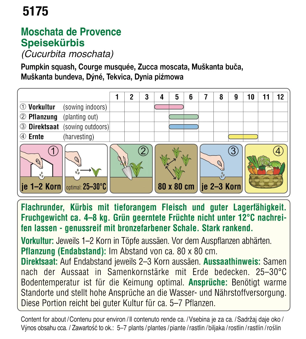 Kürbis Moschata De Provence | BIO Muskatkürbissamen Von Austrosaat 1 Kürbis Moschata De Provence | BIO Muskatkürbissamen Von Austrosaat