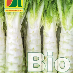 Spargelsalat Chinesische Keule | BIO Kopfsalatsamen Von Austrosaat