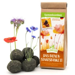 Samenbomben Das Bienenstaatsbankett (6 Stück) | Bienenwiese Von FLORTUS -Angebote Pflanzen Glanz Store 562161 Samenbomben Das Bienenstaatsbankett 6 Stueck 2000 2356 1