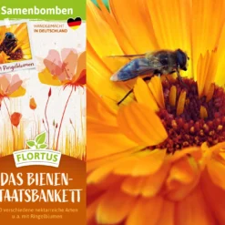 Samenbomben Das Bienenstaatsbankett (6 Stück) | Bienenwiese Von FLORTUS